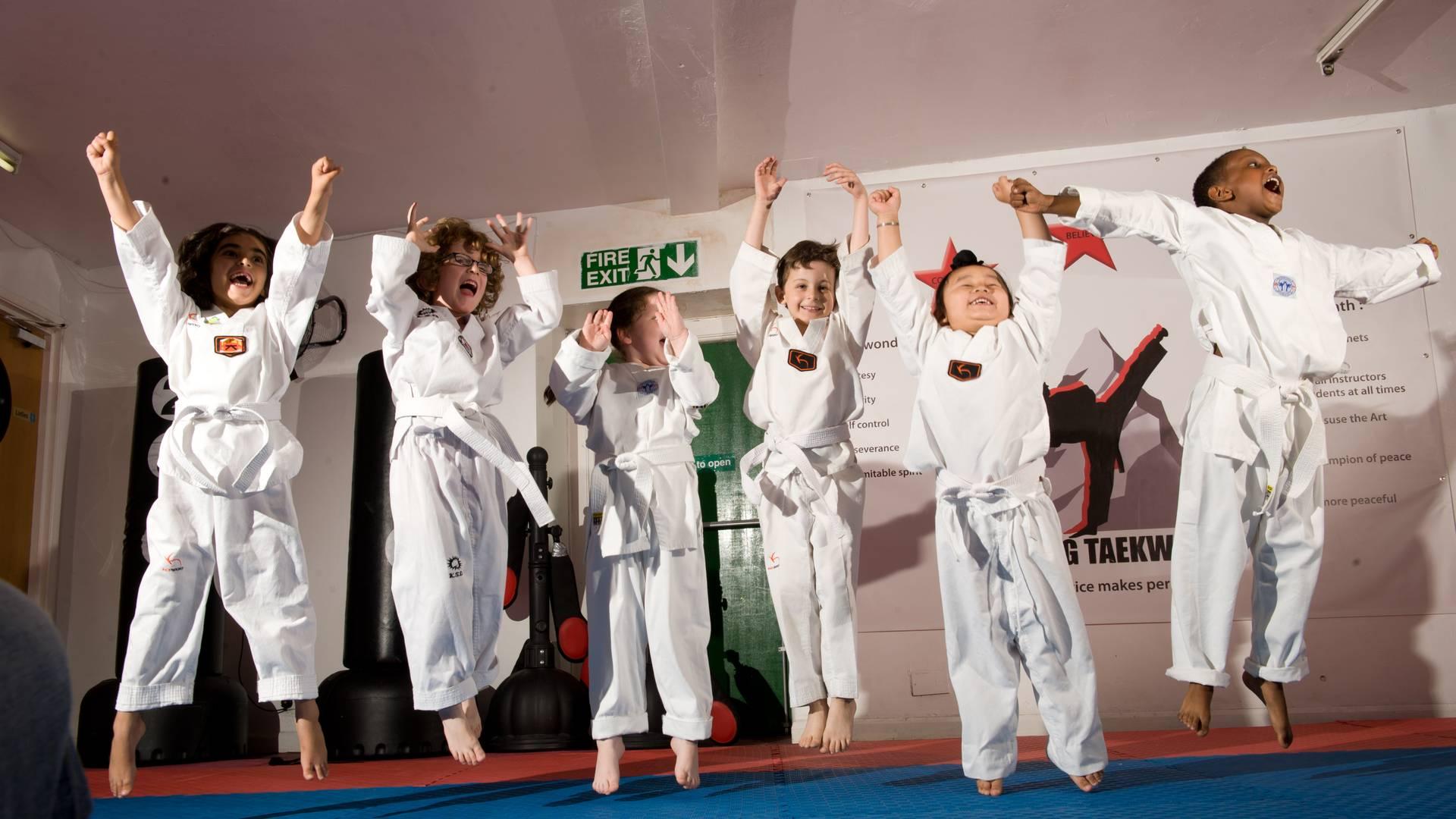 Bozdag Taekwondo photo