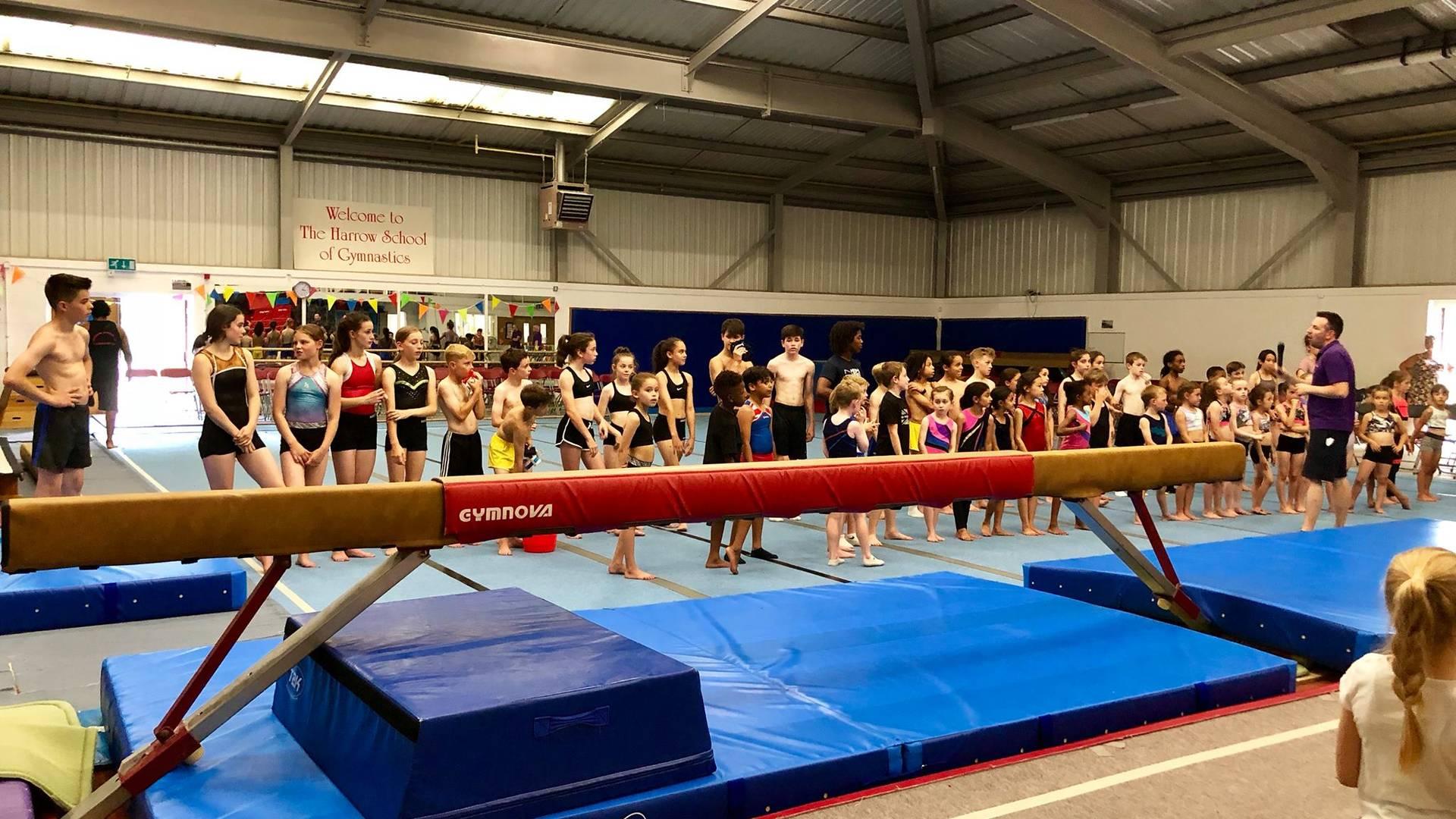 Harrow School of Gymnastics photo
