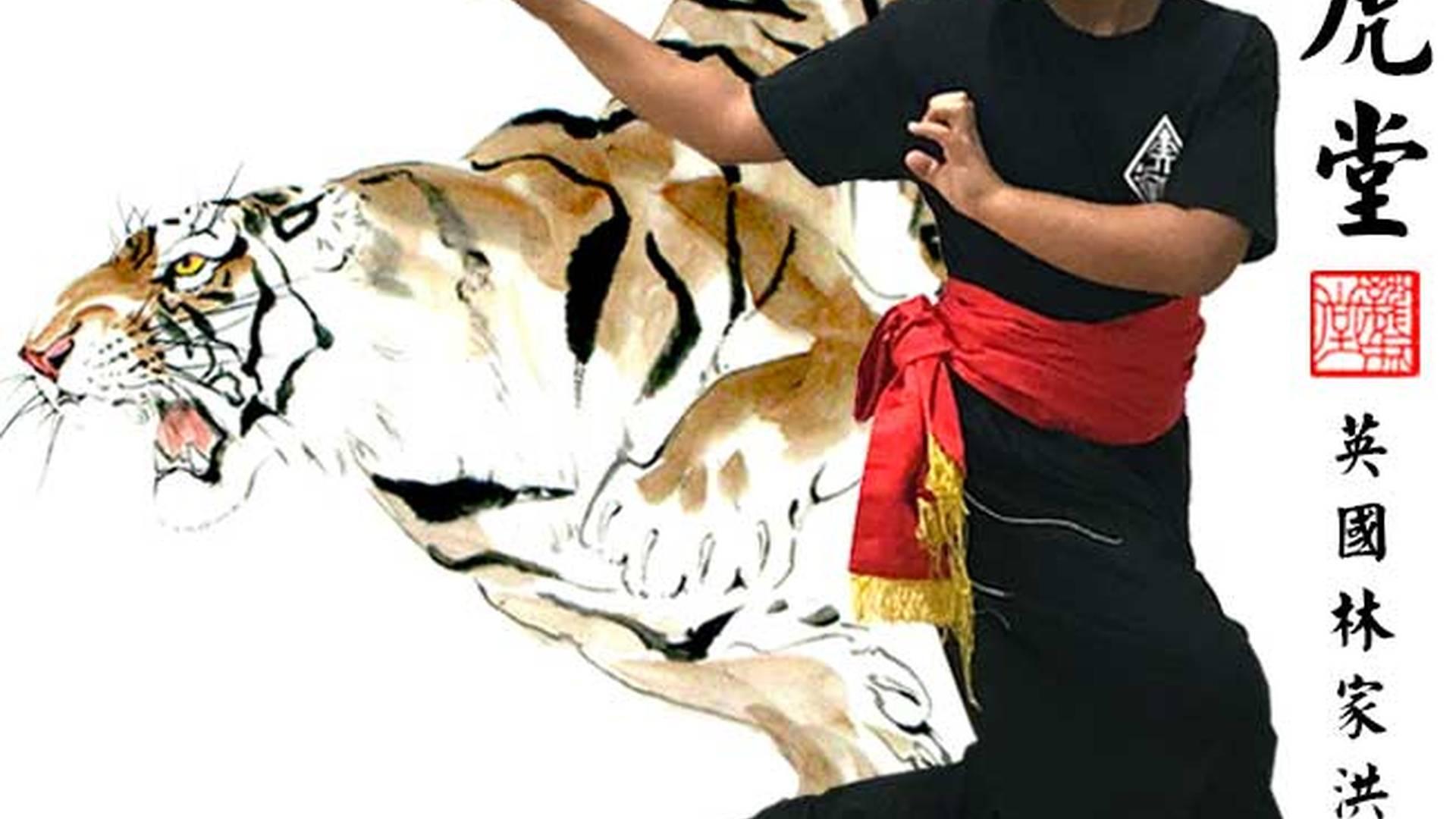 Loong Fu Chinese Martial Arts photo