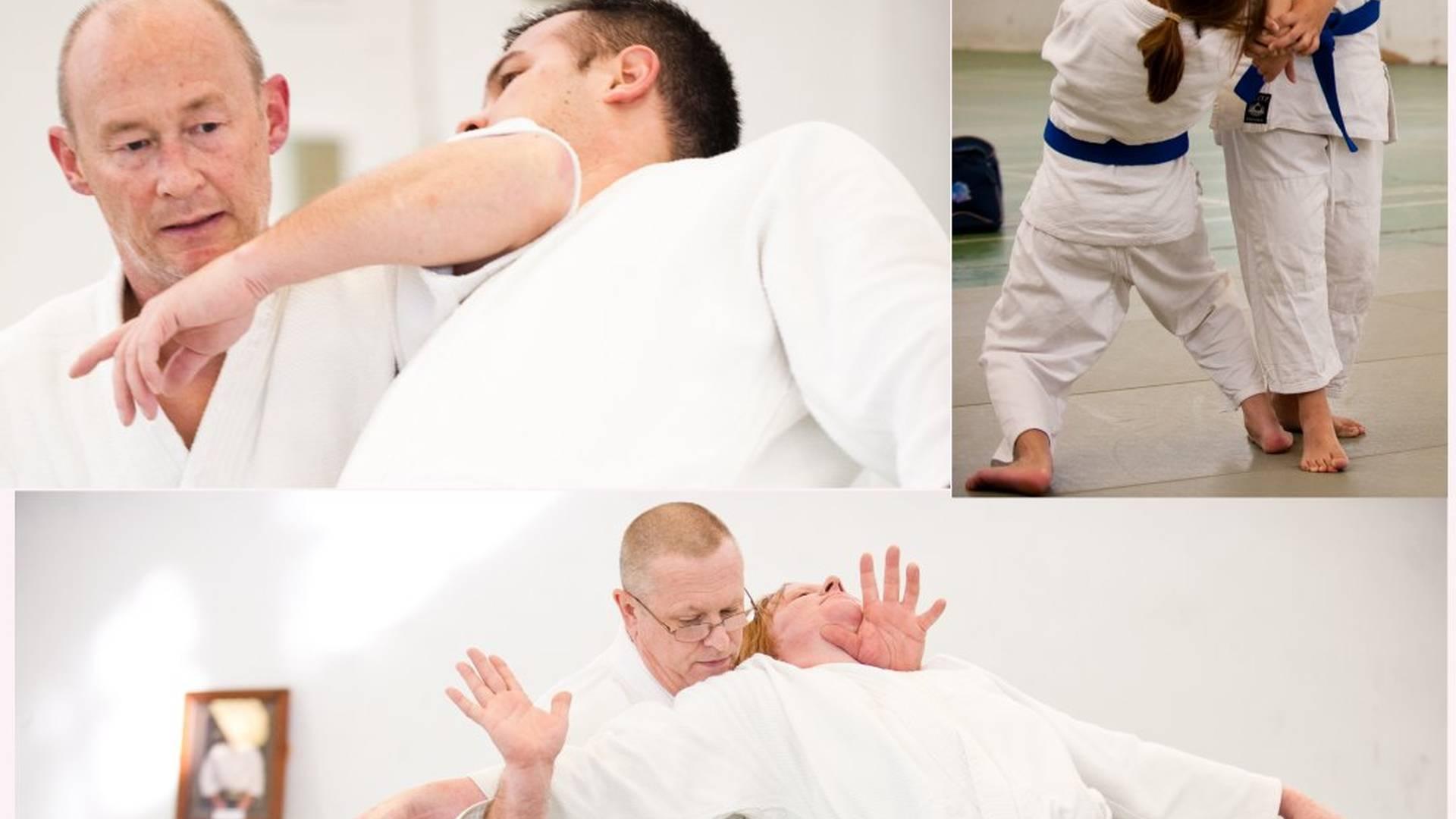 Martial Arts - Kenshinkai Aikido photo