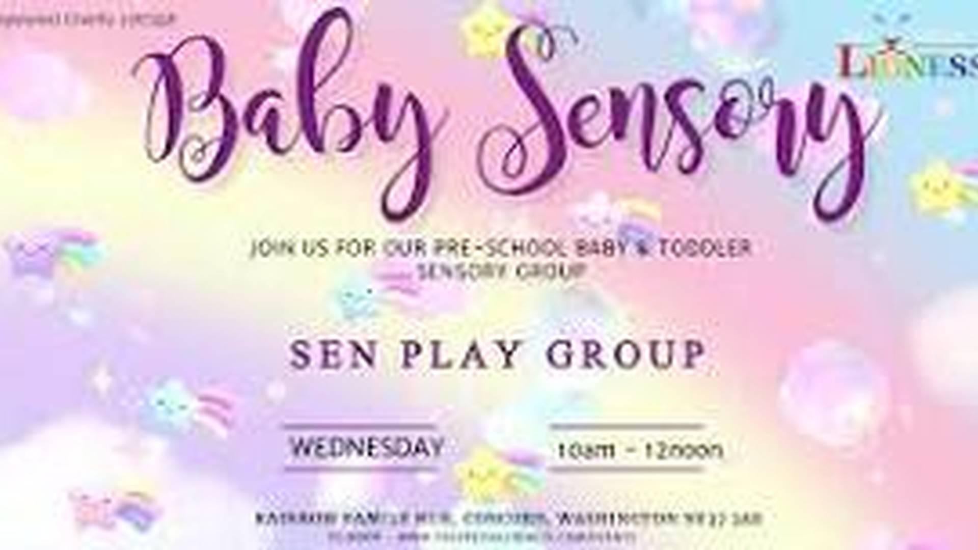 Baby & Toddler SEND Sensory Group photo