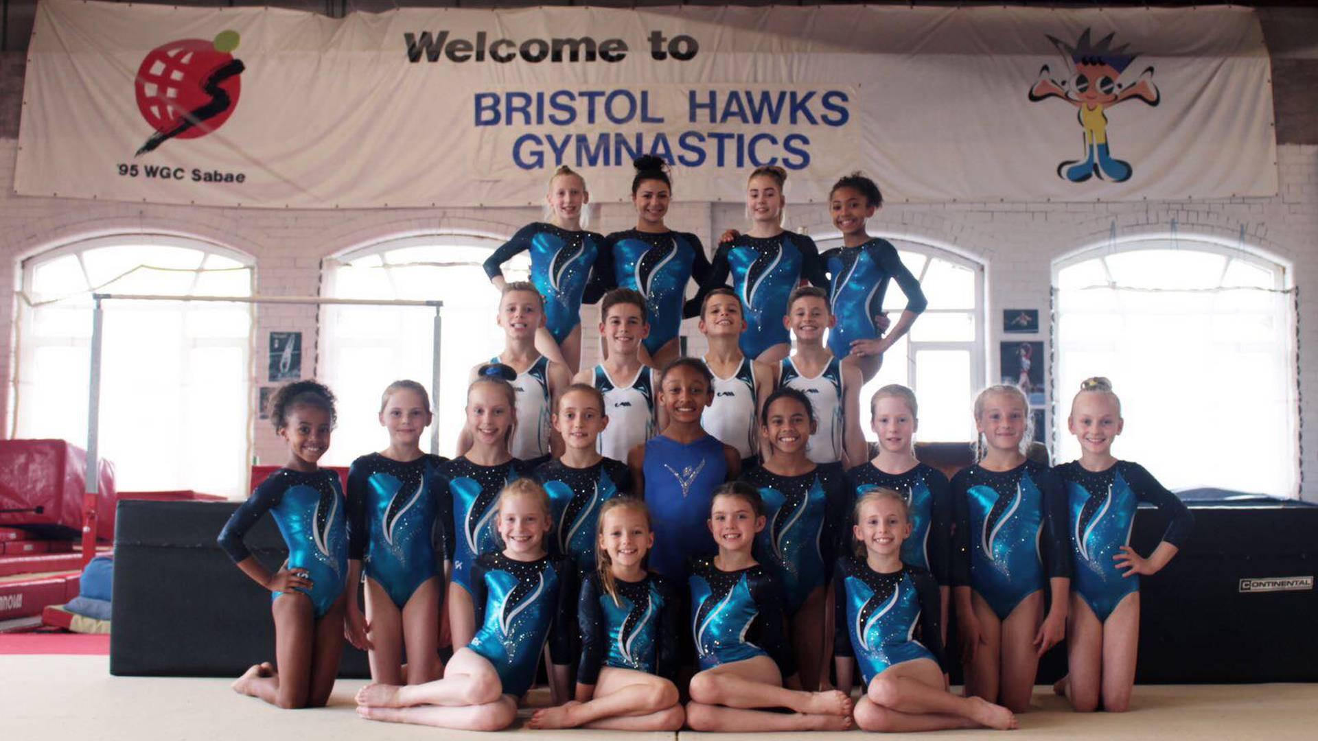 Bristol Hawks Gymnastics Club photo