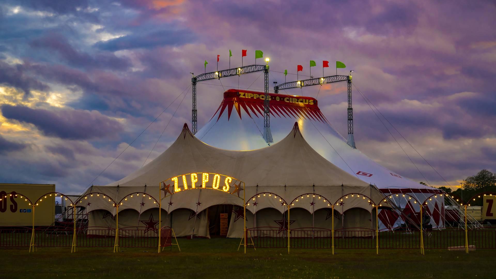 Zippos Circus – Colindale photo