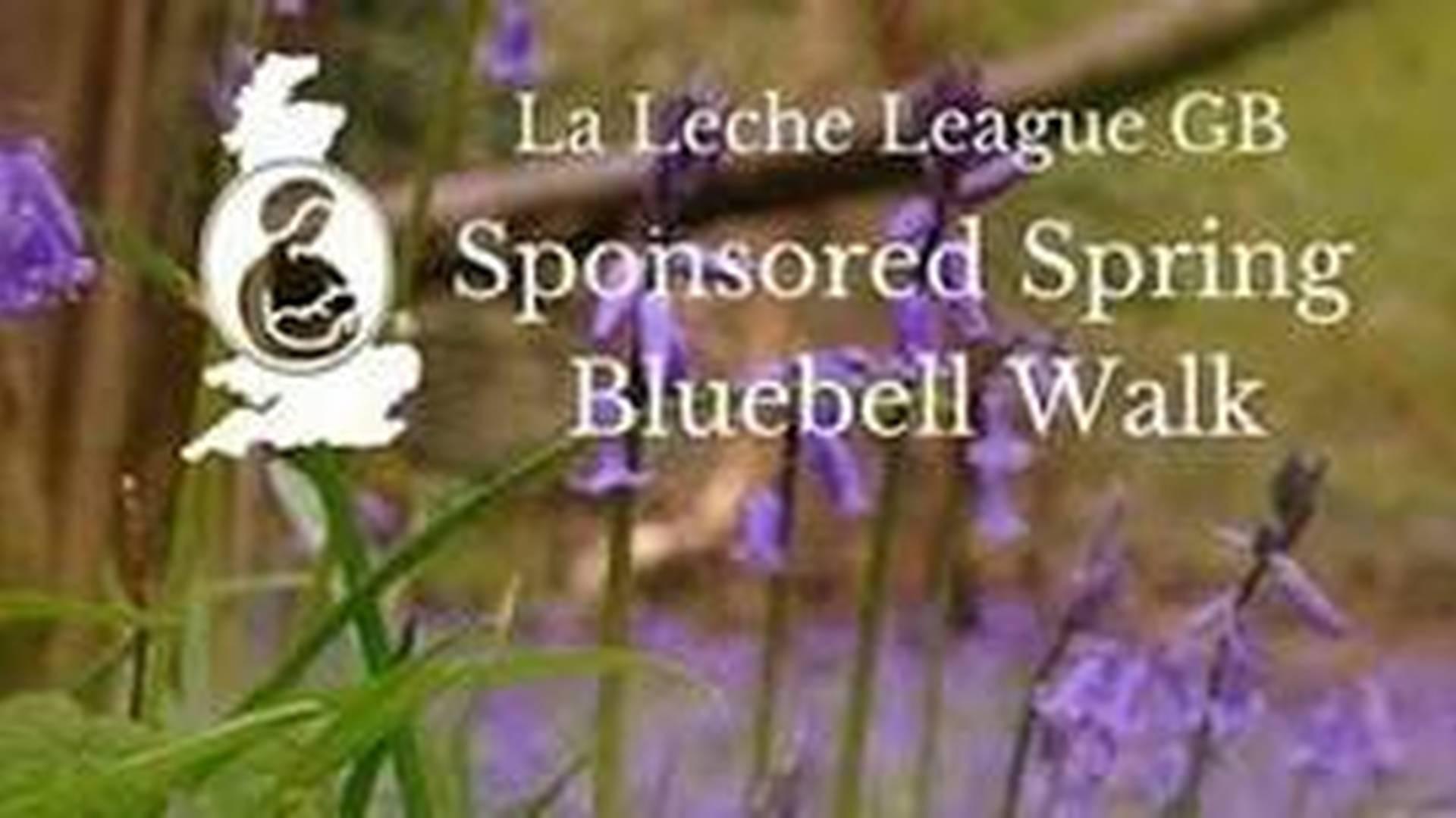 Spring Family Event - Bluebell Walk photo