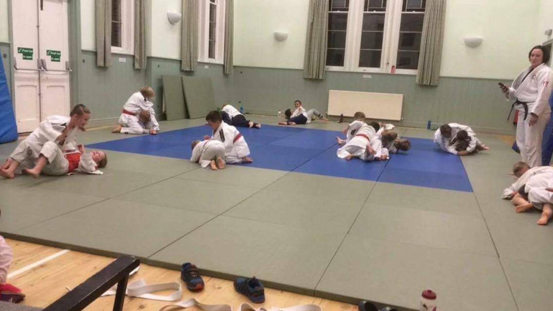 West Essex Judo Club photo