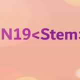 N19Stem logo