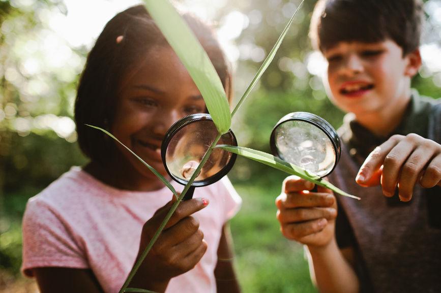 Children exploring nature