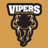 Heaton Mersey Vipers FC logo