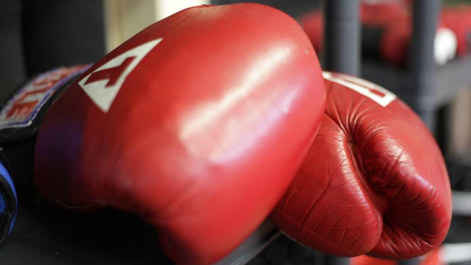 Neasden Boxing Club photo