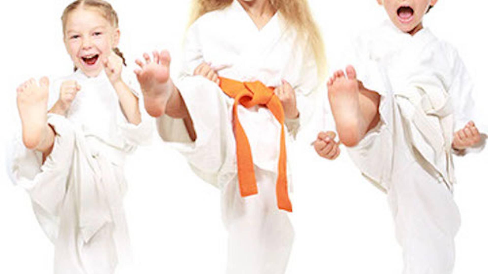 Kensho Karate Club photo
