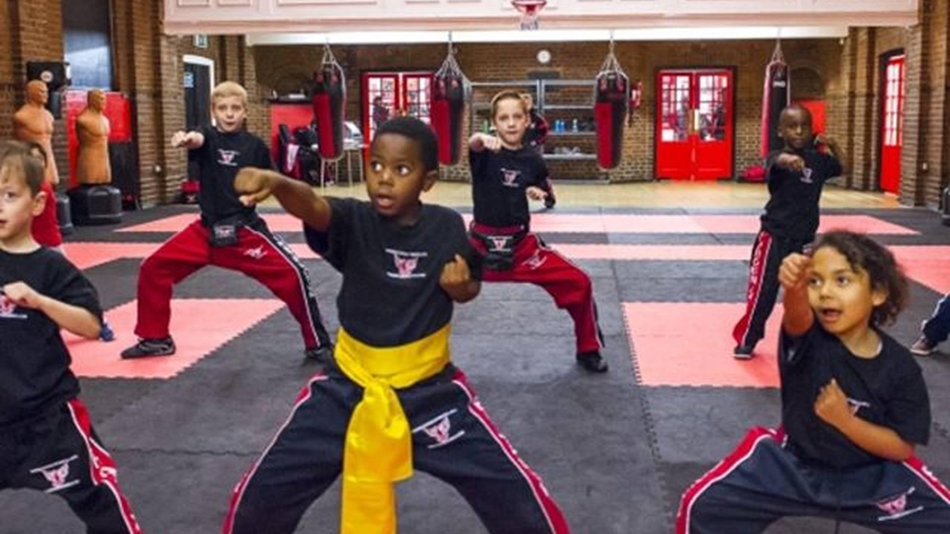 PMA - Phoenix Martial Arts photo