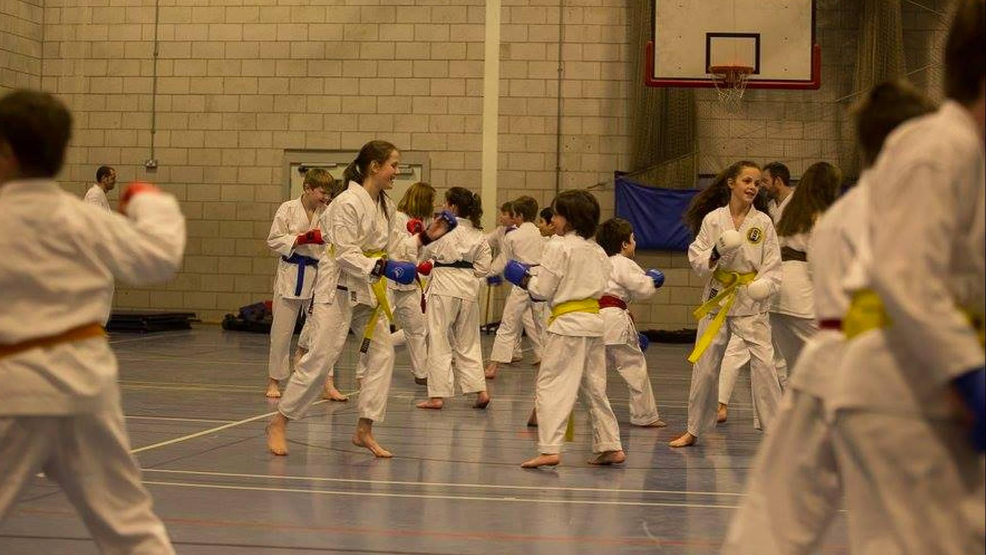 Koshinkan Karate Association photo