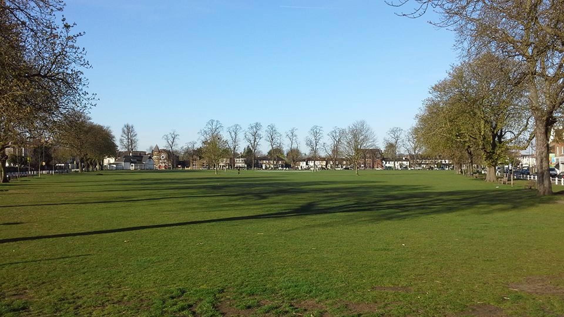Friends of Twickenham Green photo