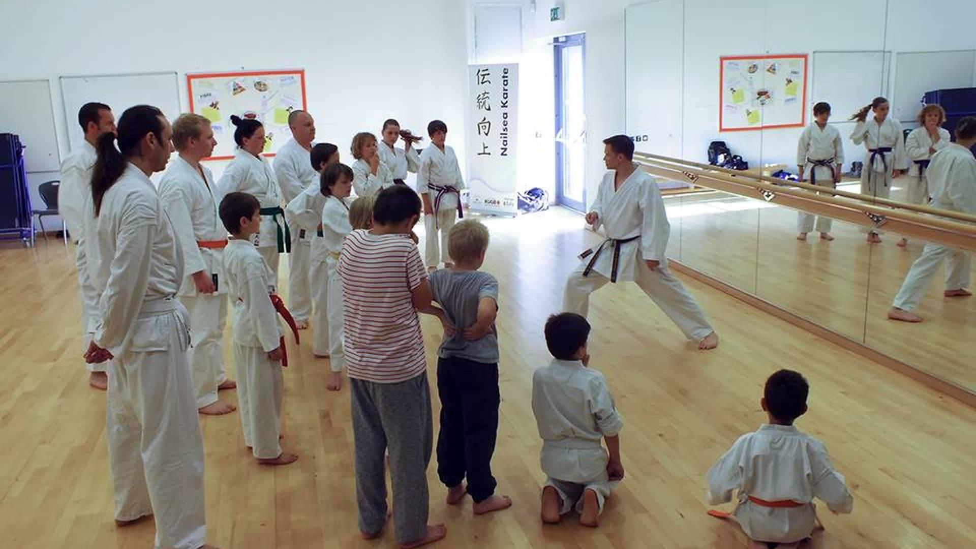 Nailsea Karate photo