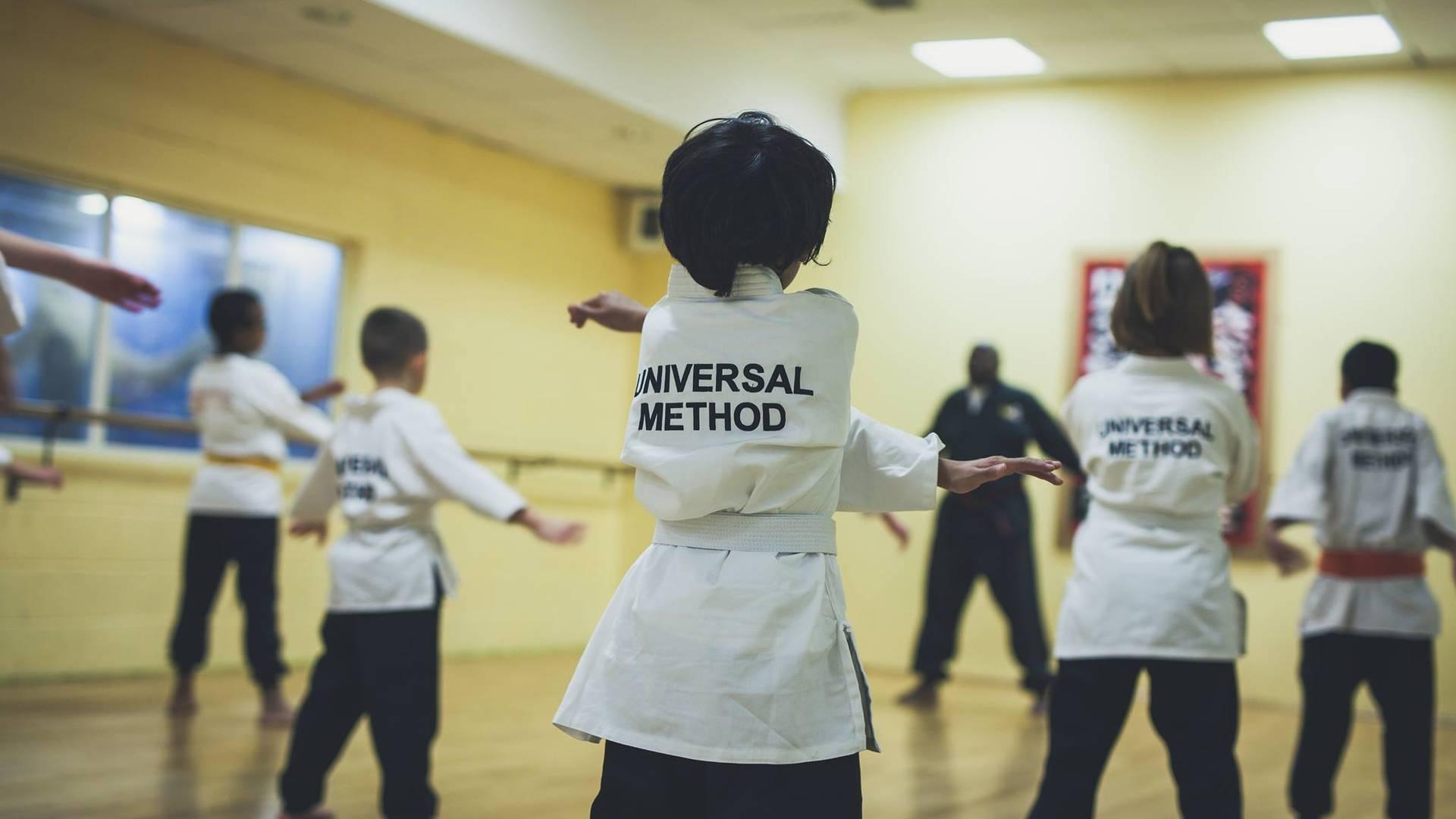 Universal Method Martial Arts photo