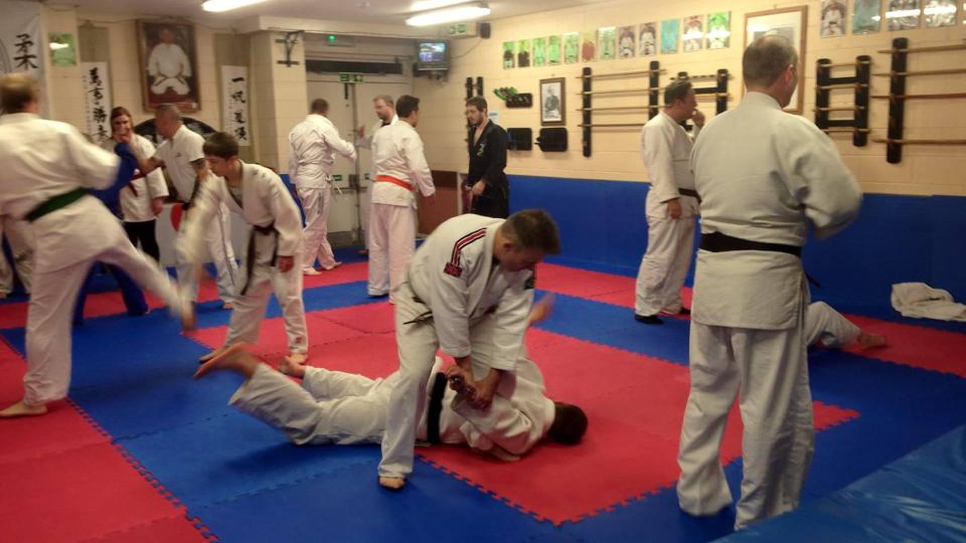 Beeches Martial Arts - Kings Norton photo