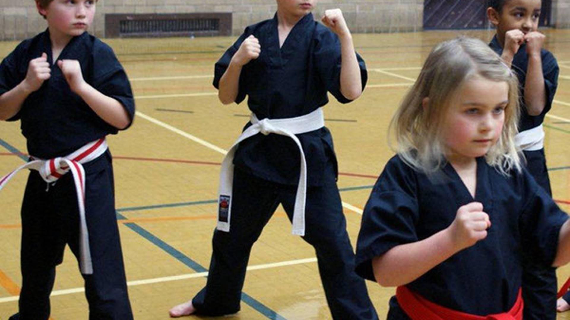 United Sport Karate photo