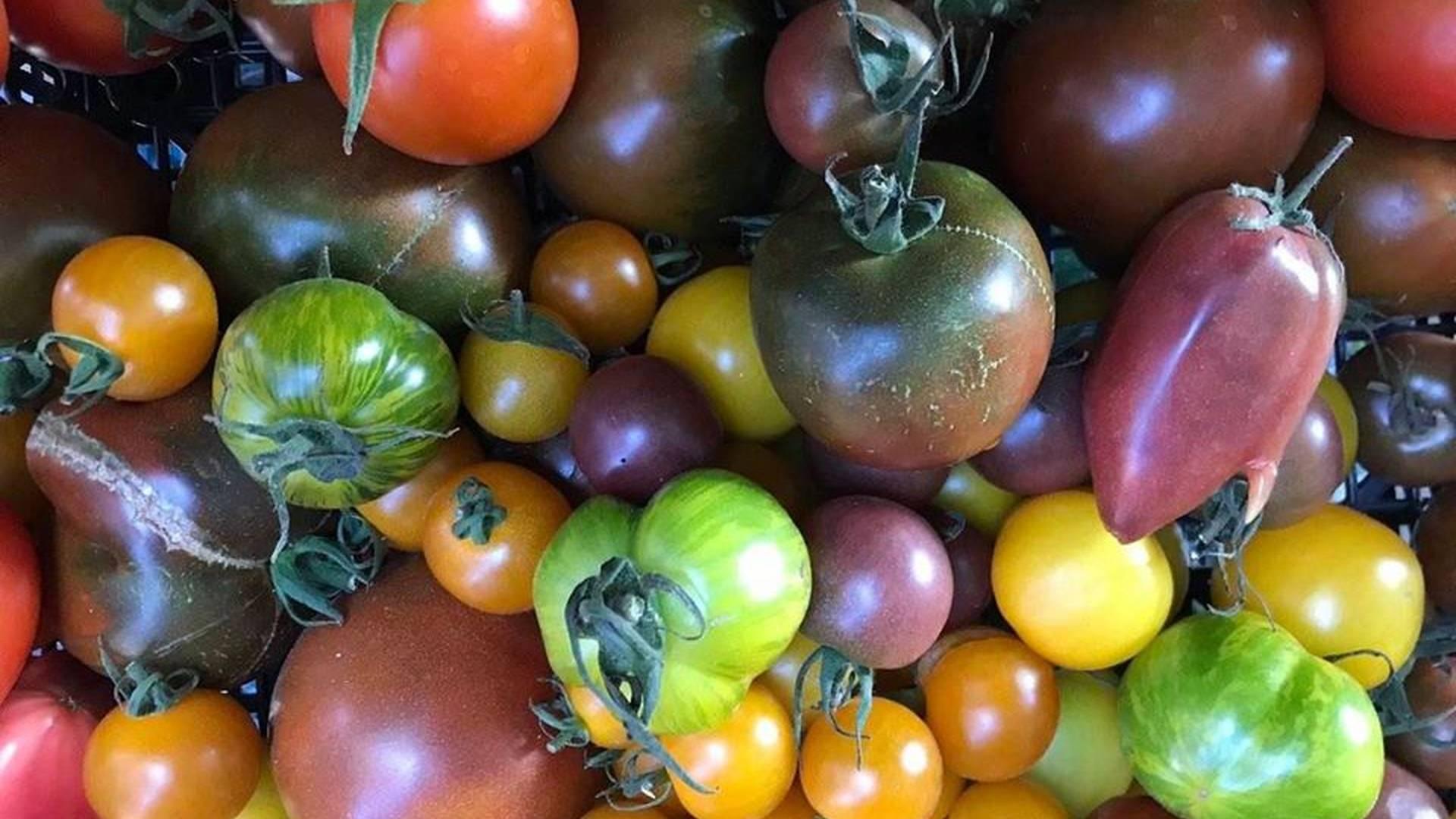 Cardiff Farmers' Markets photo