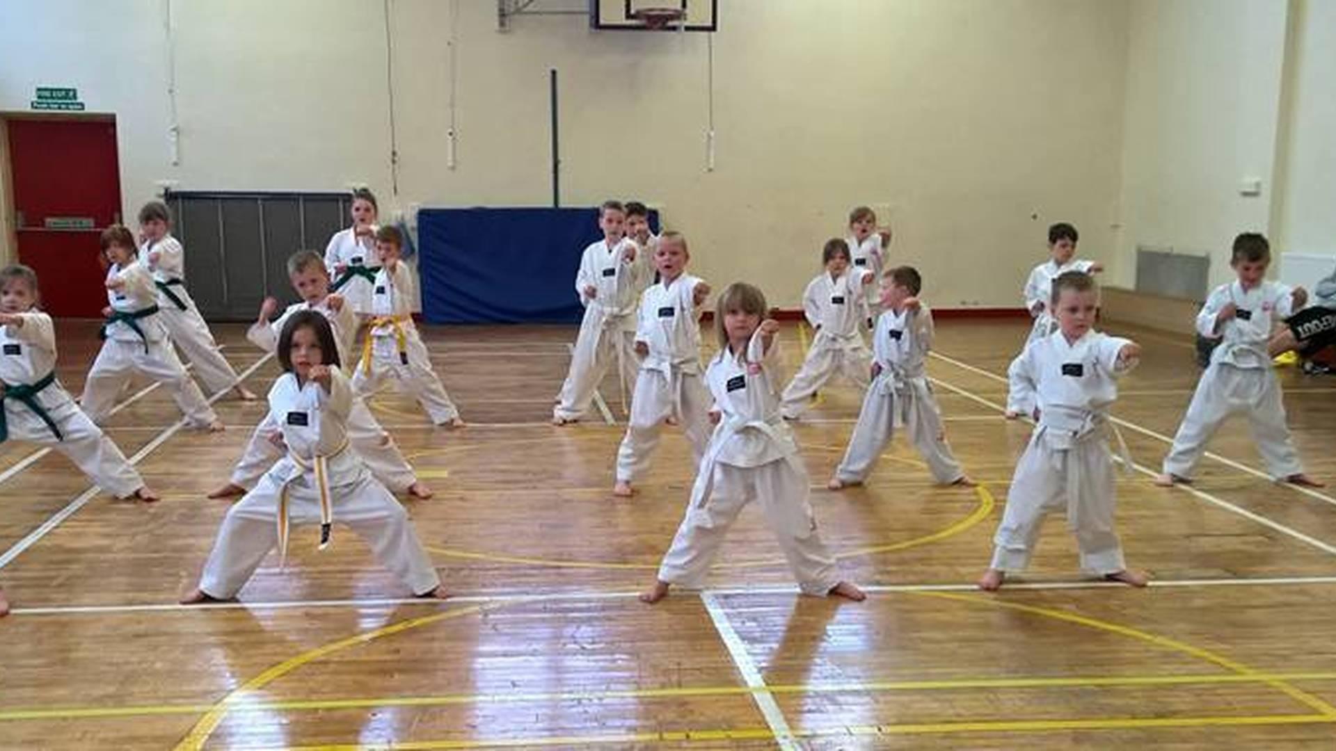 Phoenix Taekwondo photo