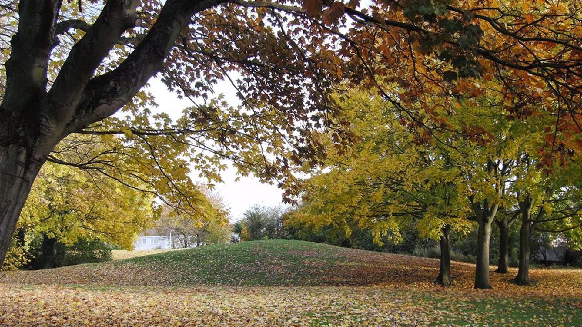 Houghton Regis Town Council photo