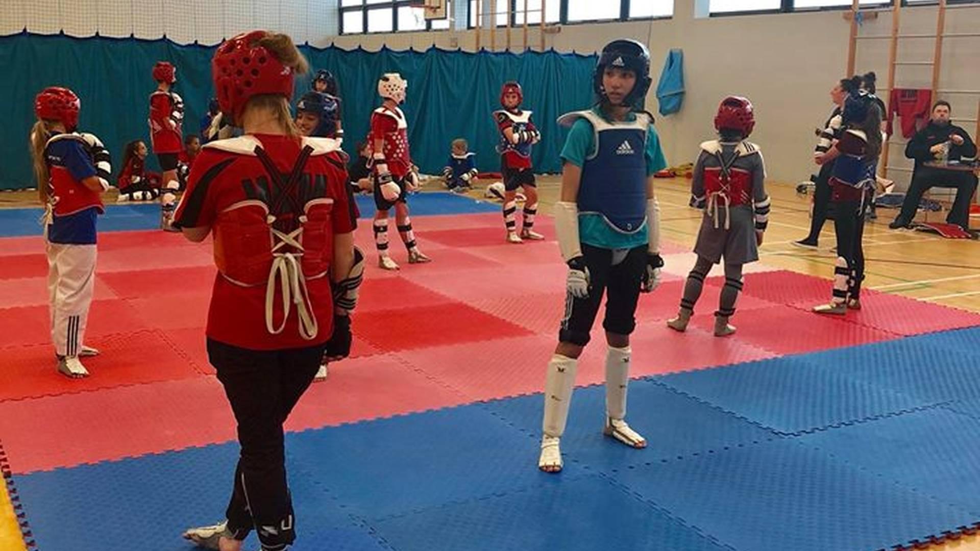 Premier Taekwondo - London photo