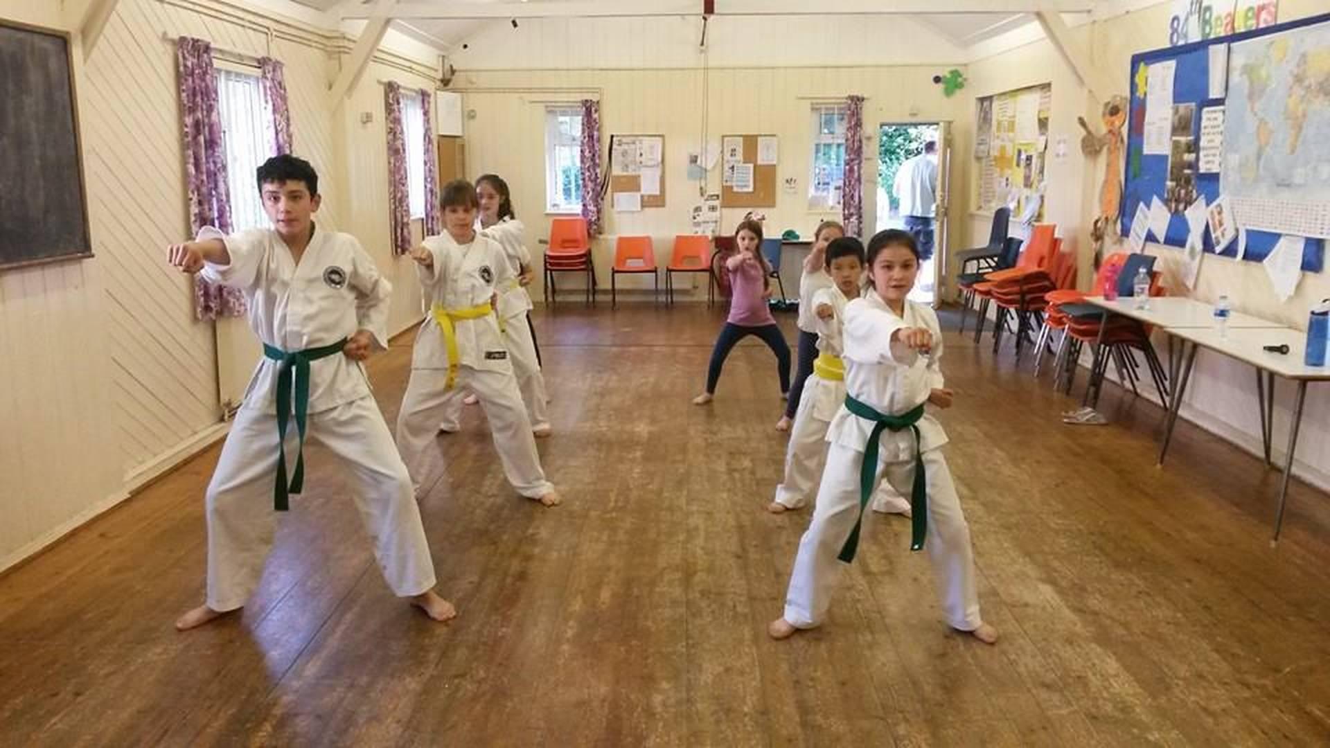 Vella Tae Kwondo Academy photo