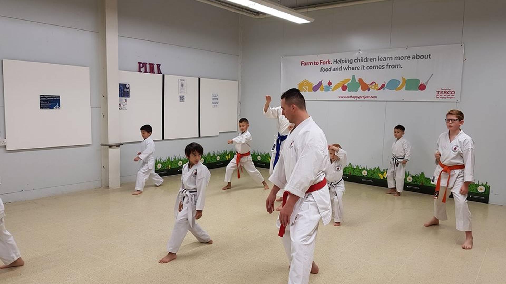 Meiyo Karate Club photo