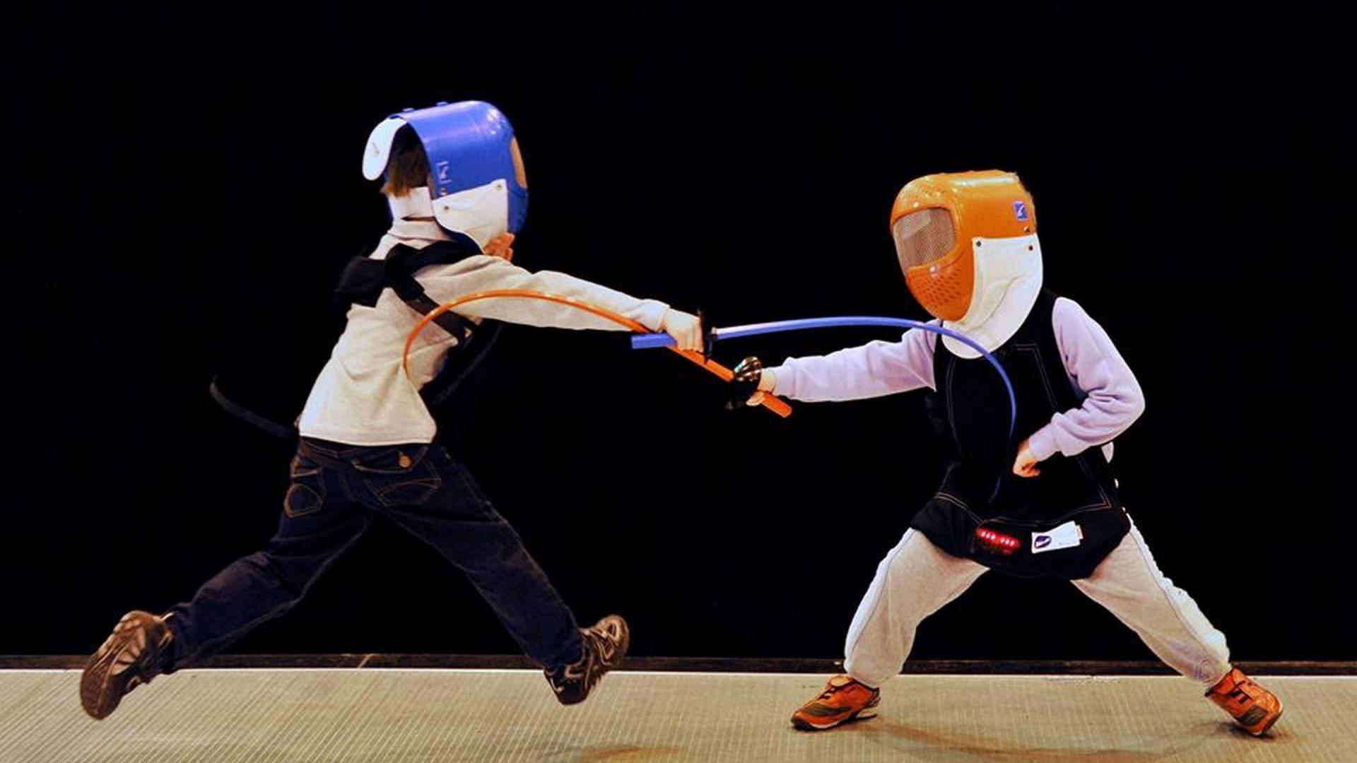 Fencing Fun photo