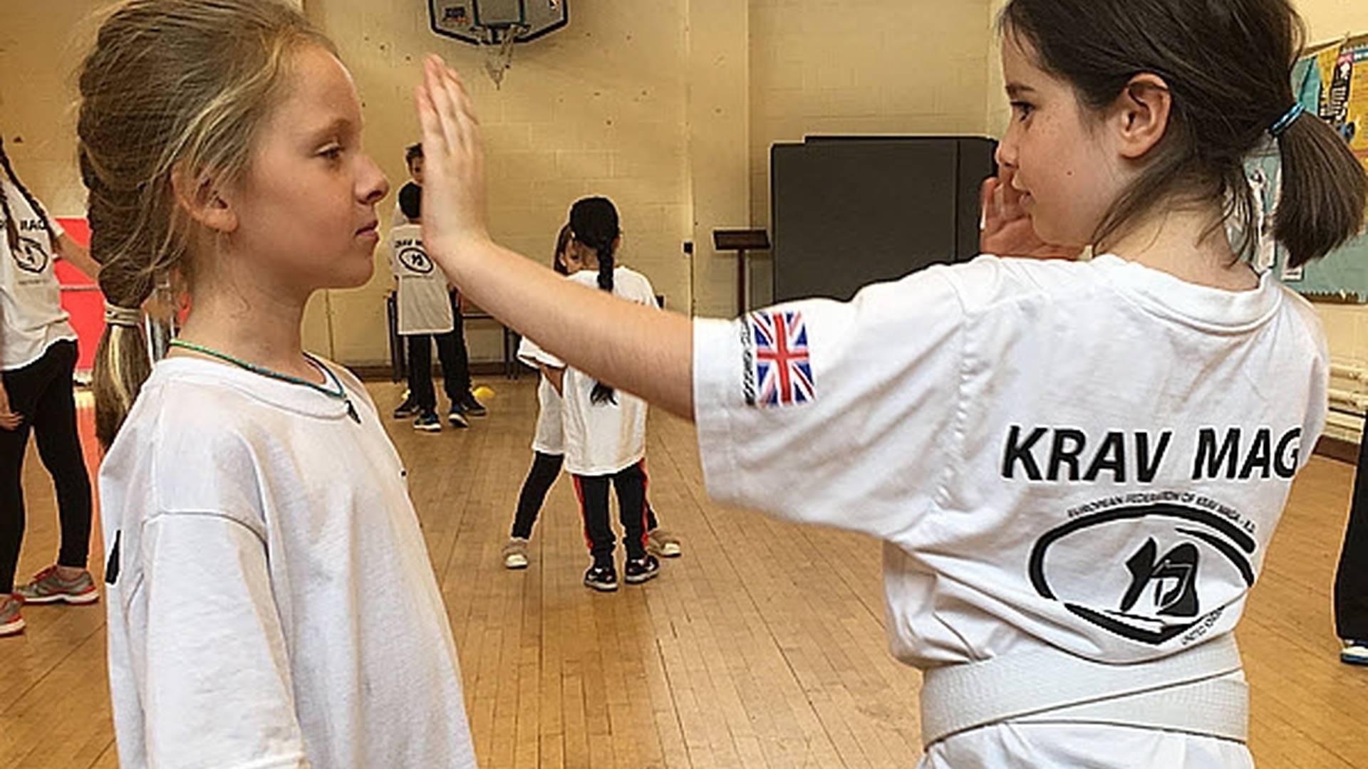 Krav Maga Self Defence - Brixton photo