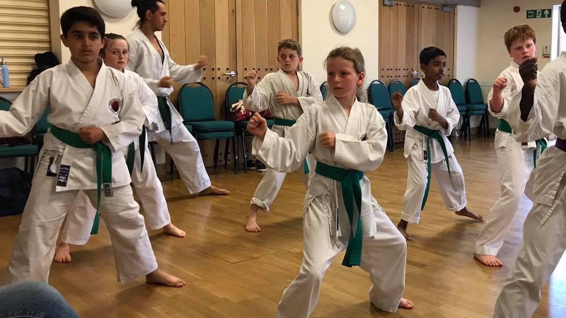 Shinko Karate photo