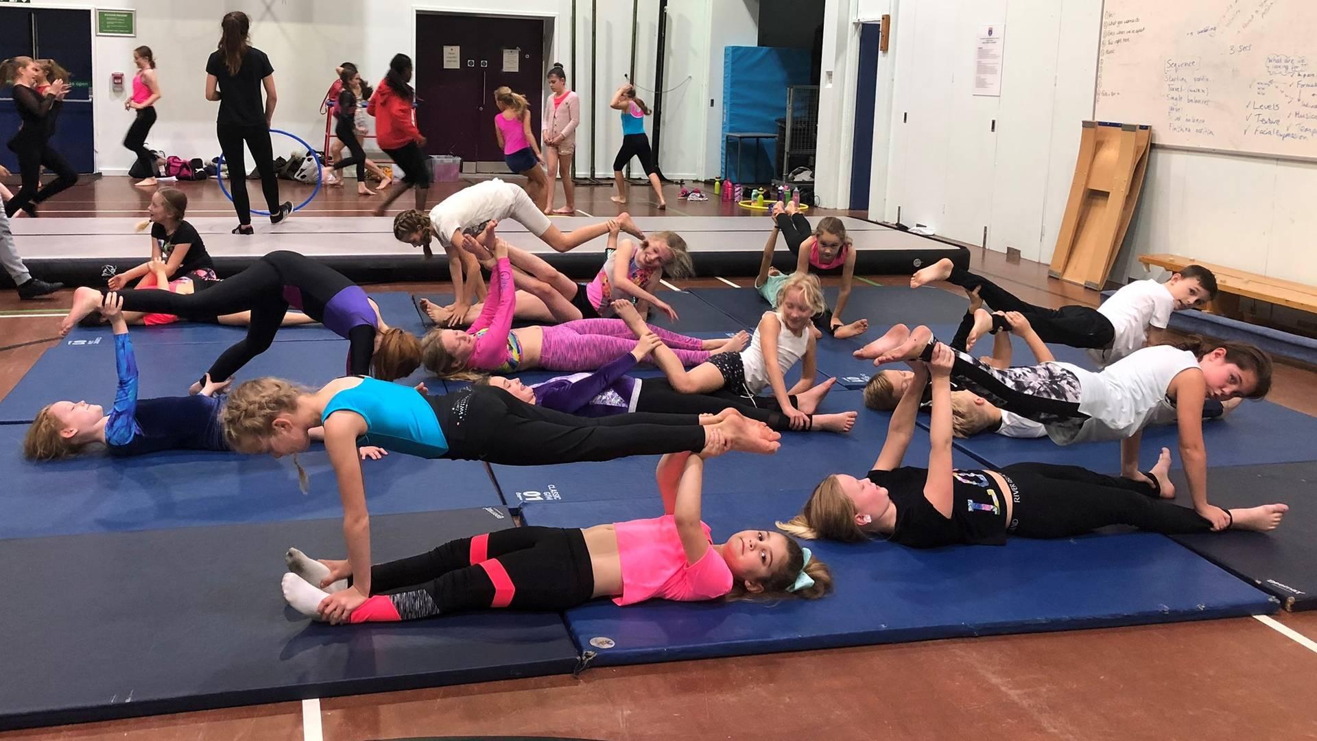 Ainsty Gymnastics & Trampoline Club photo