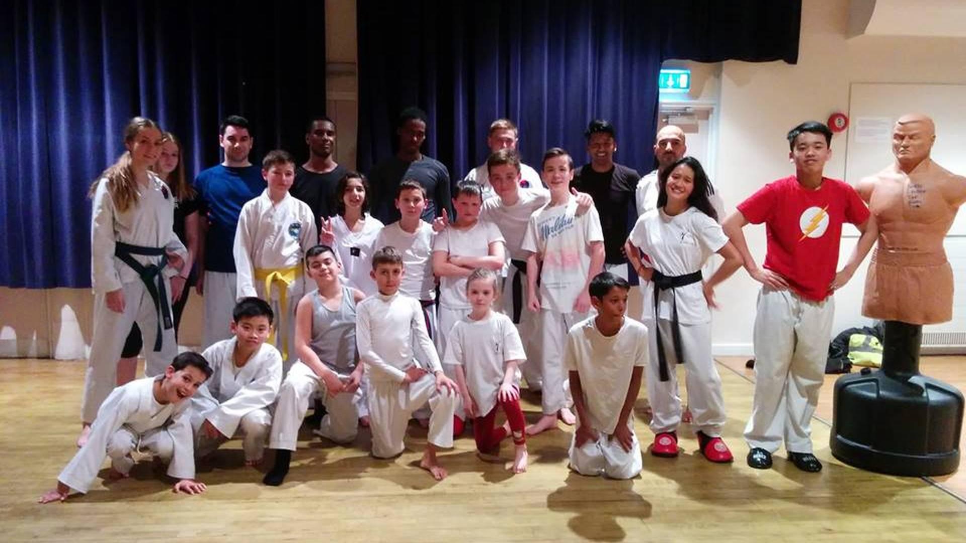 North London Taekwondo photo