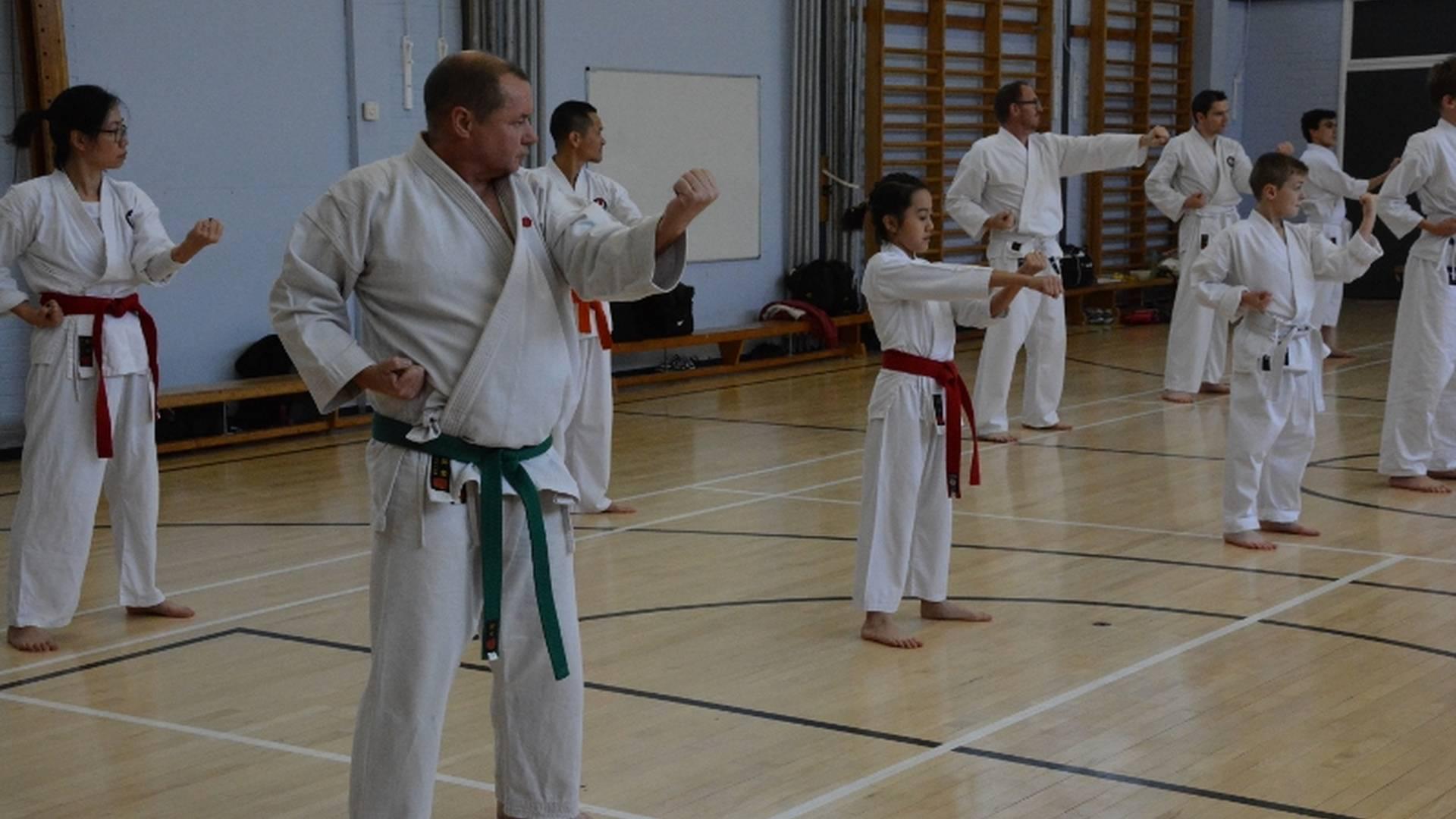 Plymouth Shotokan Karate Centre photo