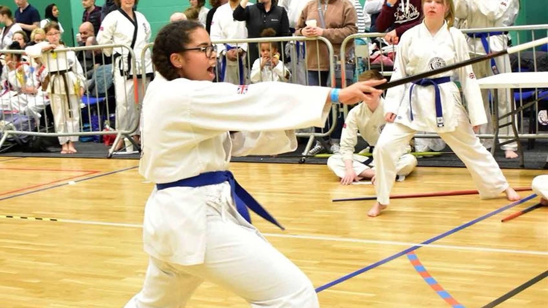 Wales Tang Soo Do photo