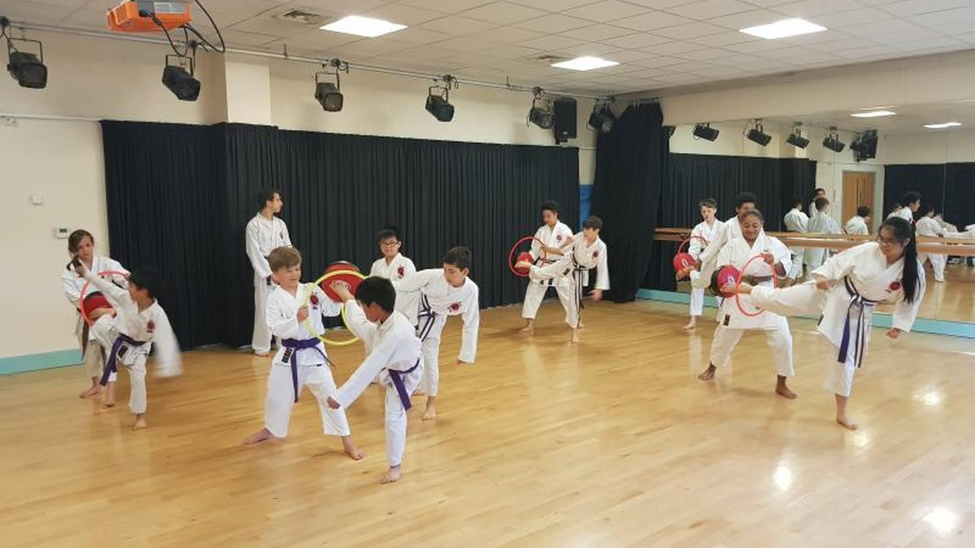 TISKA Karate Mill Hill photo