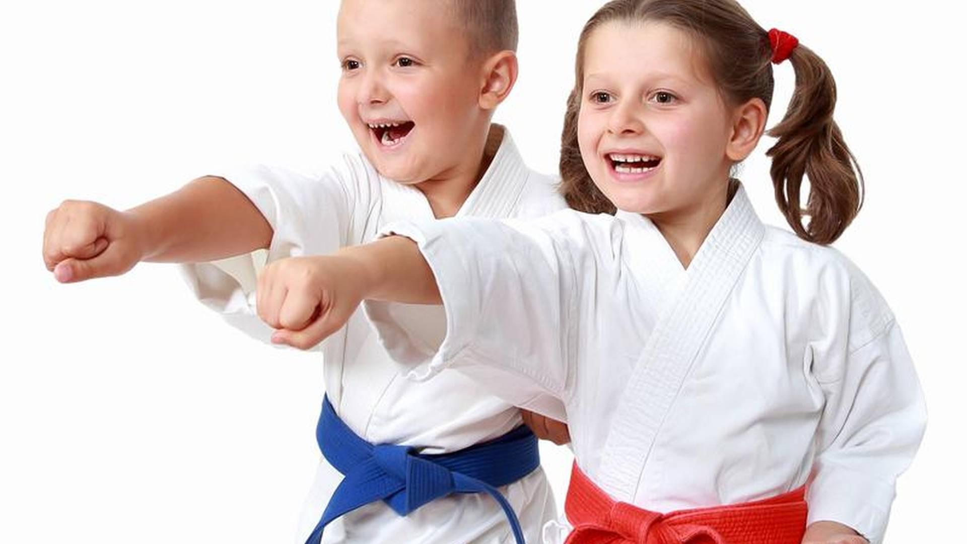 Hampstead Karate School photo