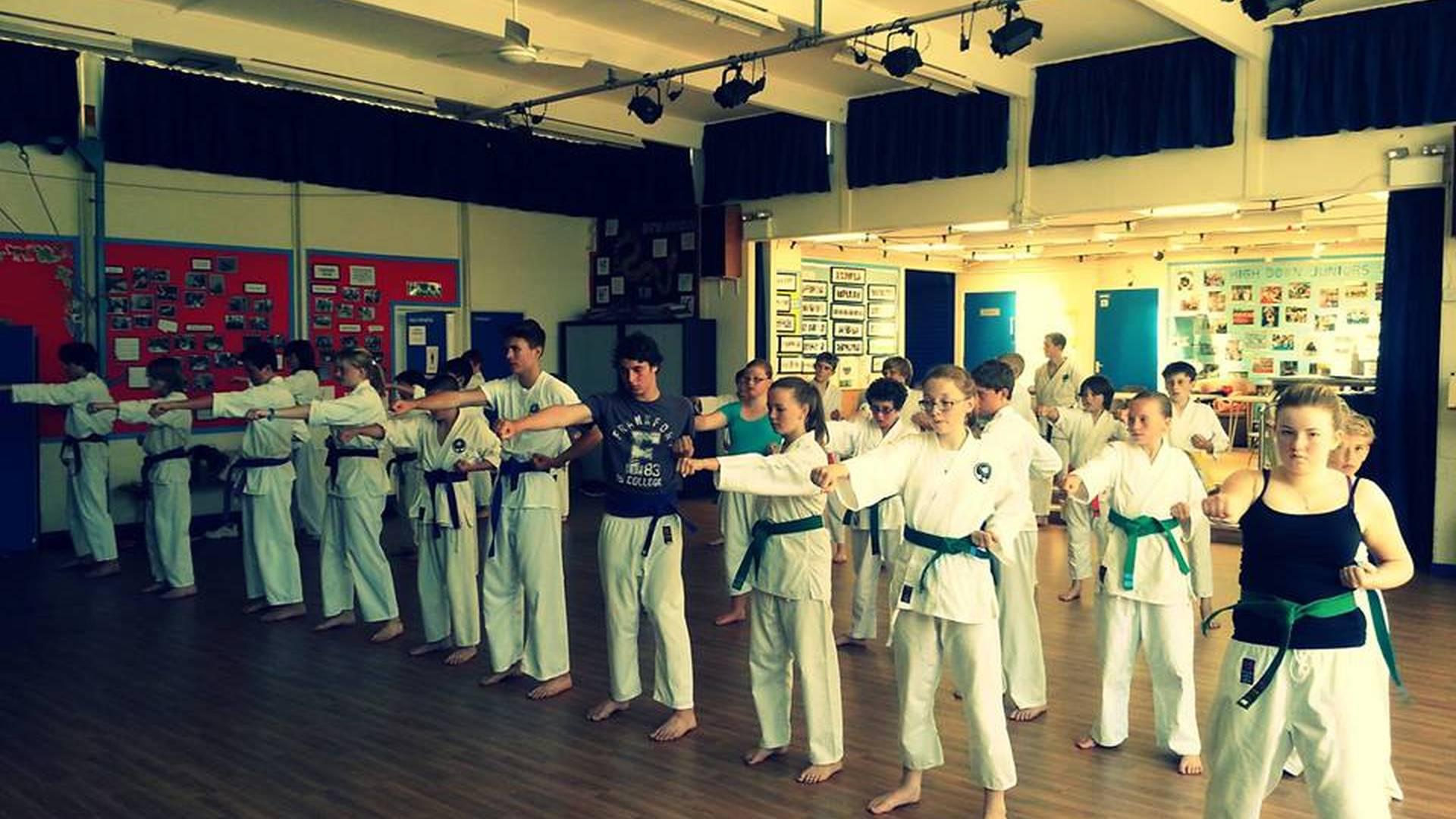 DKK Juniors - Okinawan Goju Ryu Karate photo