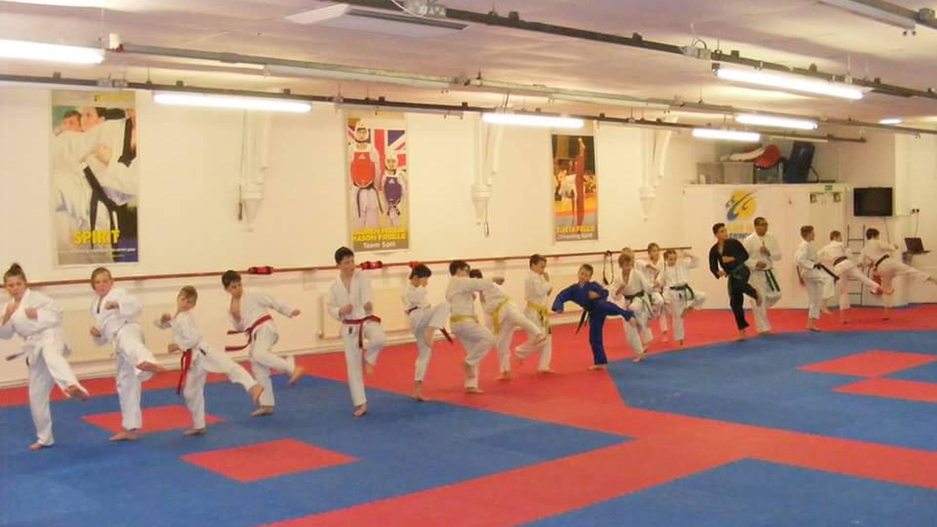 Empty Hand Karate and Jujitsu photo