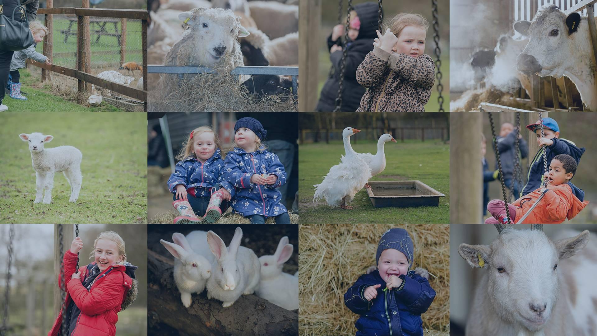 Thrift Farm photo