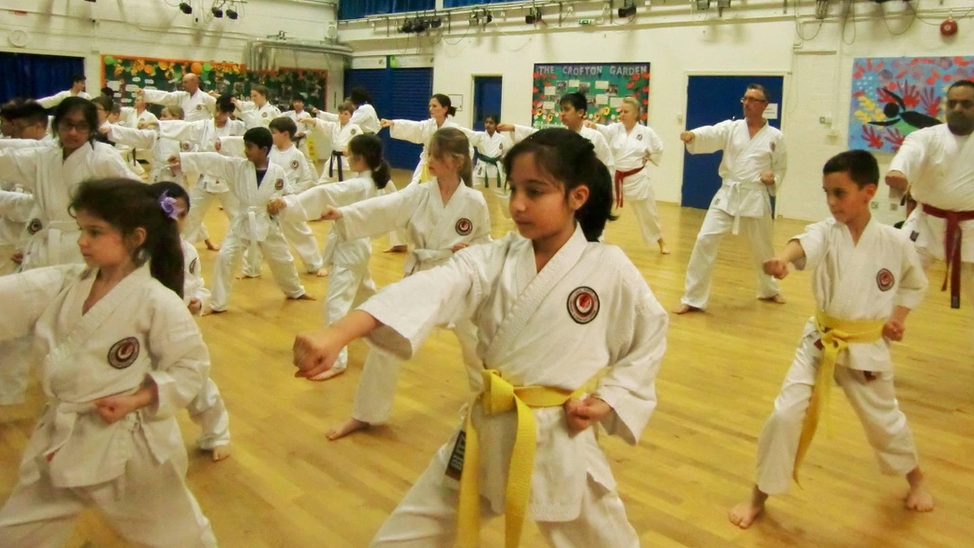 Bromley & South East London Karate Club photo