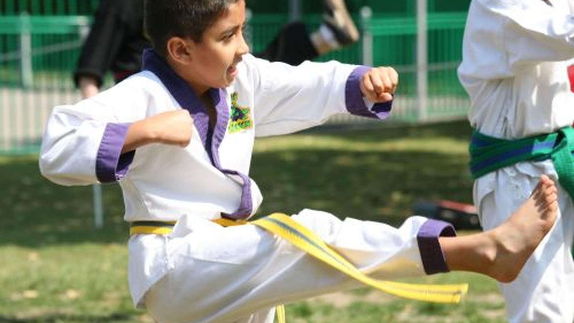 Hamstead Dragons Tae Kwon Do Club photo
