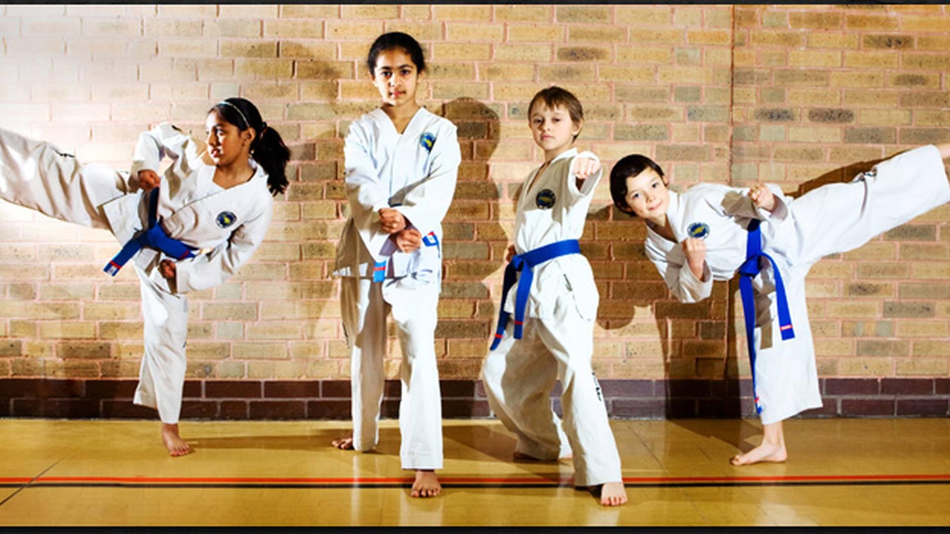 Brighton and Hove Taekwon-Do photo