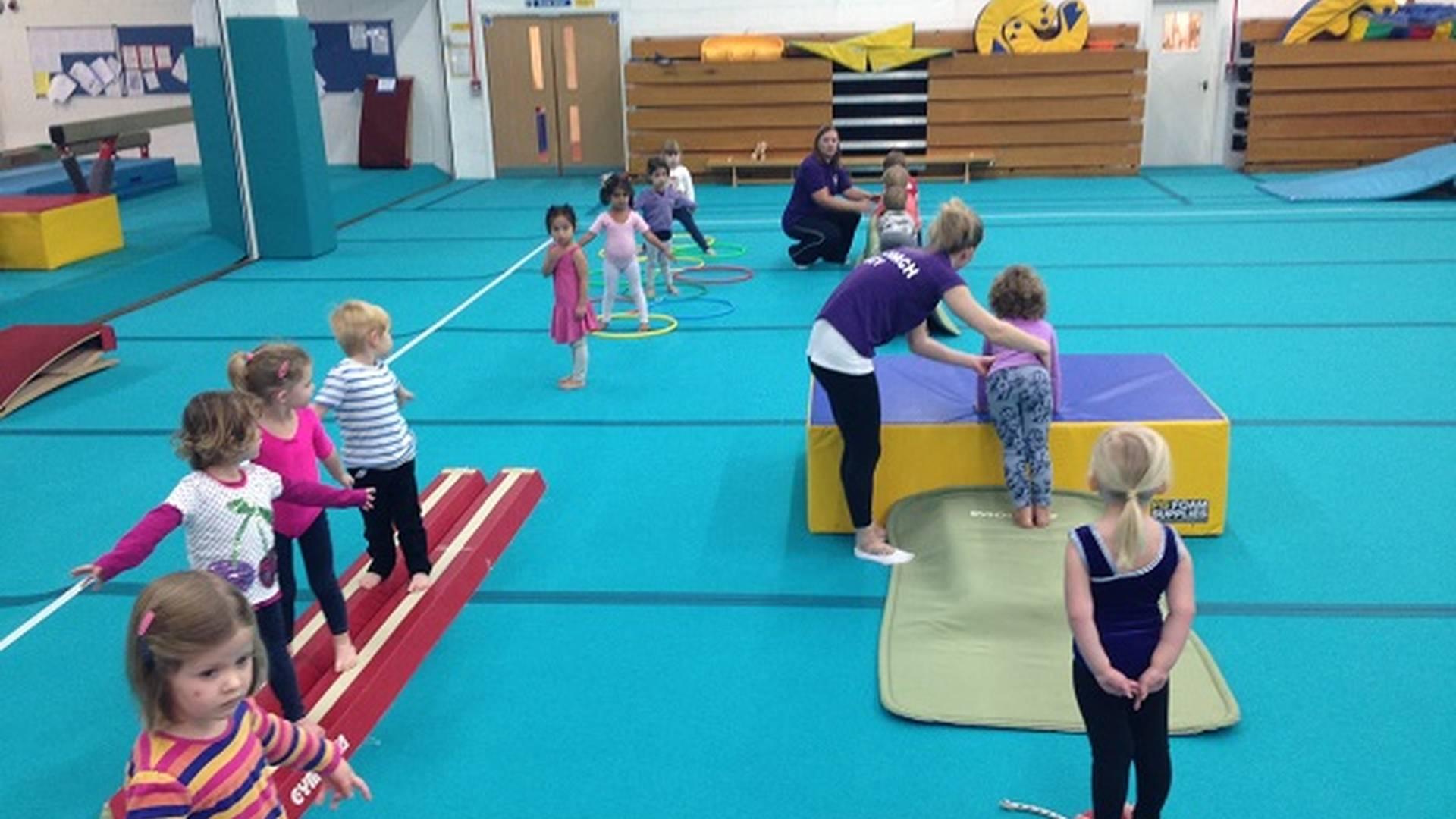 Leatherhead & Dorking Gymnastics Club photo