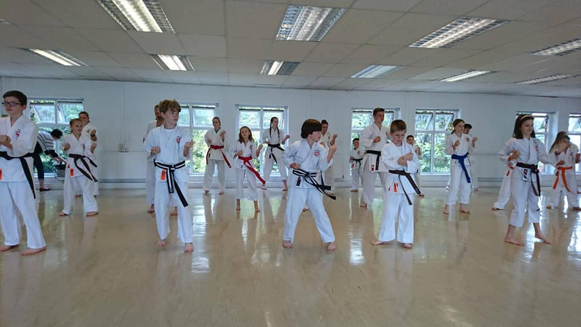 Hidden Dragon Karate-Do photo