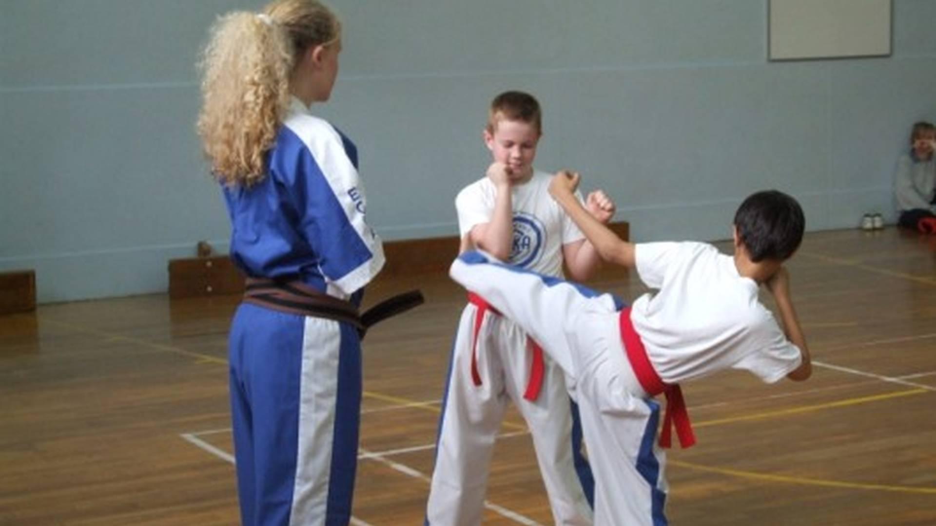 Enfield Kickboxing Academy photo