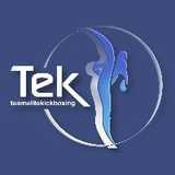 Team Elite Kickboxing logo