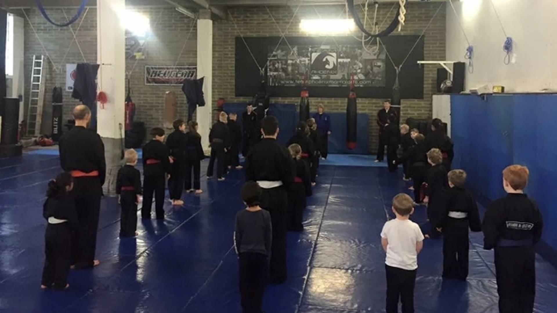 Team Phoenix Martial Arts photo