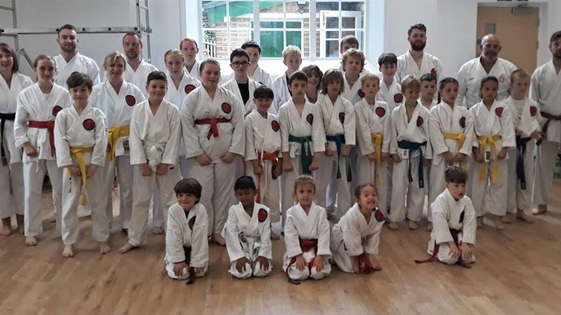 Meadvale Karate Club photo