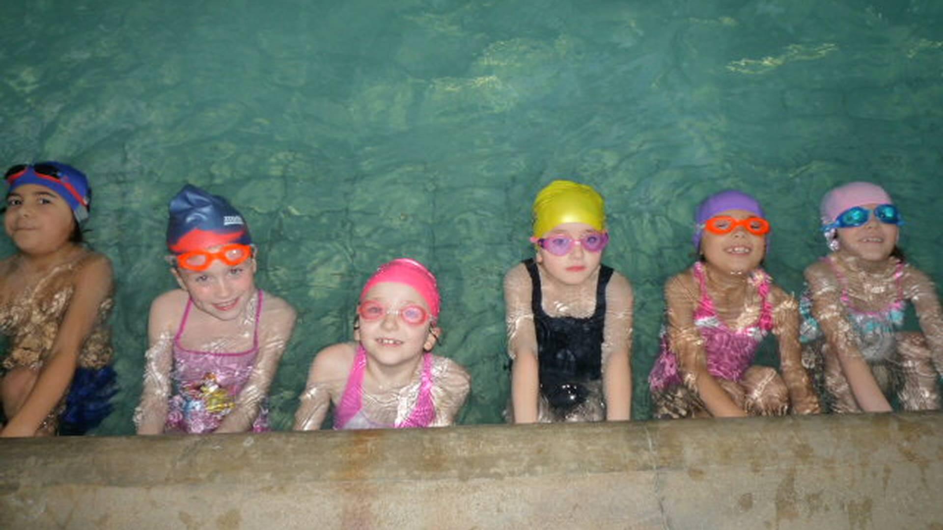 Seals Swim School photo