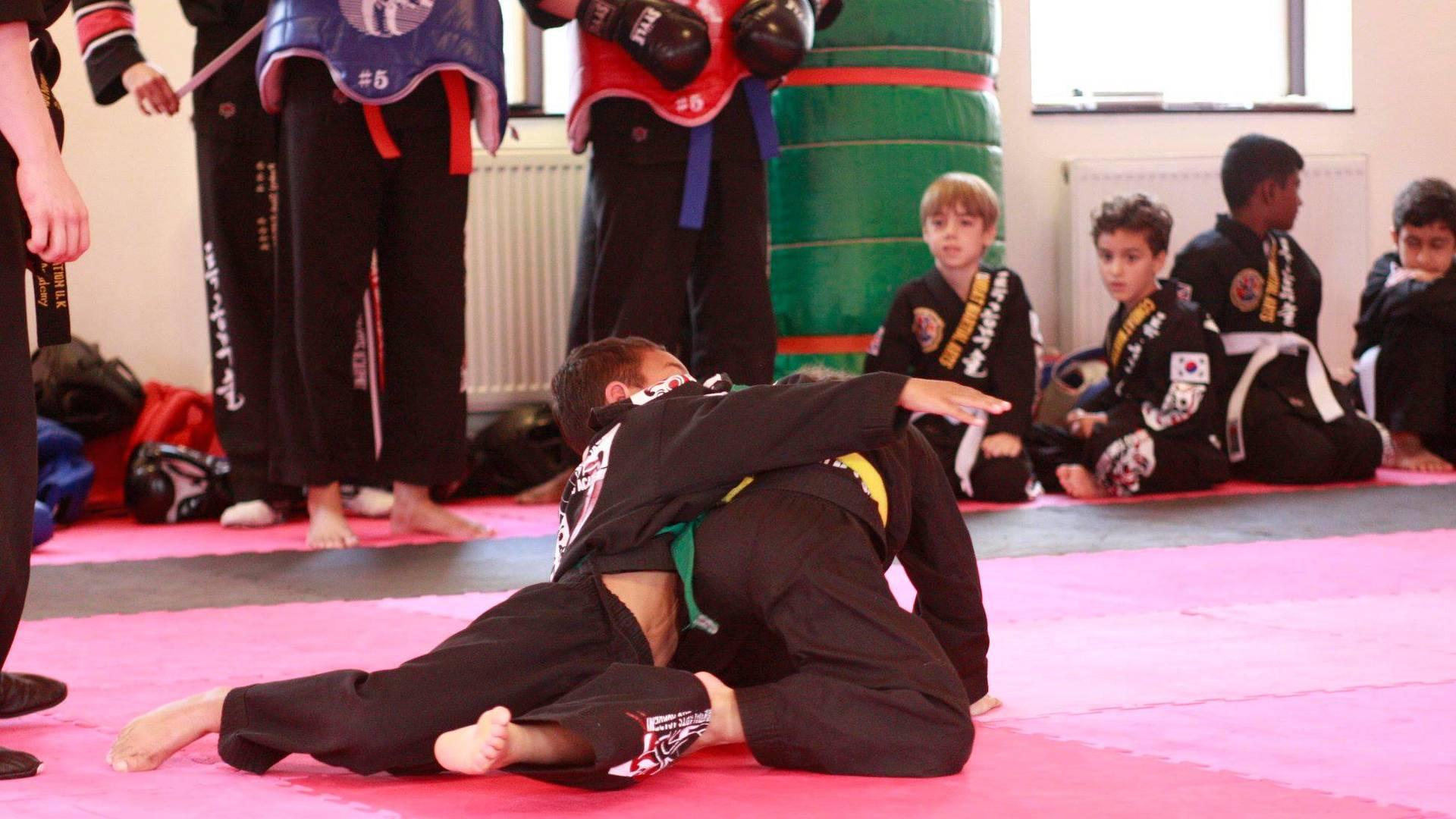 Sang Moo TGMS Martial Arts Academy photo